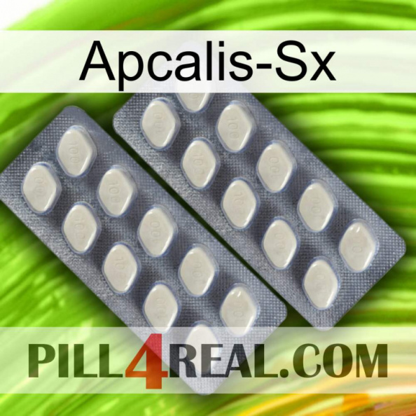 Apcalis-Sx 07.jpg